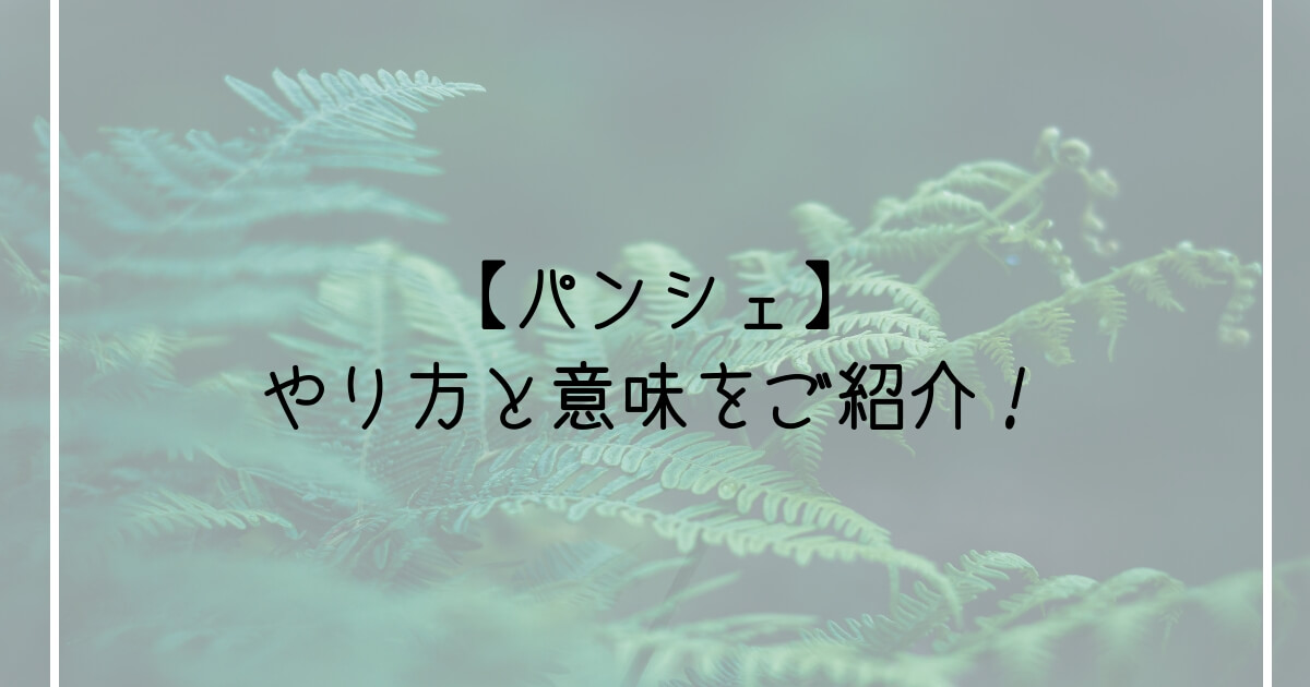 前のパンシェ 横のパンシェ パンシェのやり方と意味をご紹介 Ballet Style バレエ スタイル