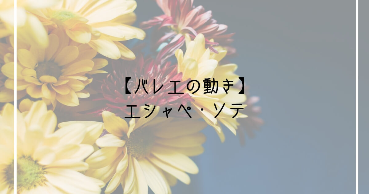 エシャペ ソテ は滞空時間長く 空中でのポーズを意識しよう Ballet Style バレエ スタイル